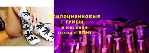 PSILOCYBIN Заводоуковск