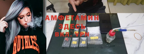 PSILOCYBIN Заводоуковск