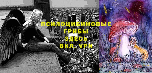 спайс Заволжск