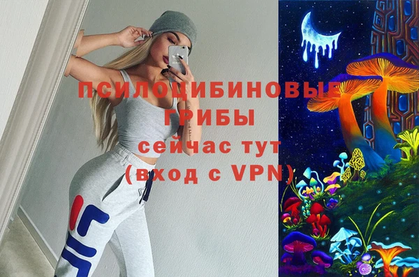 PSILOCYBIN Заводоуковск