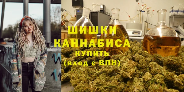 PSILOCYBIN Заводоуковск