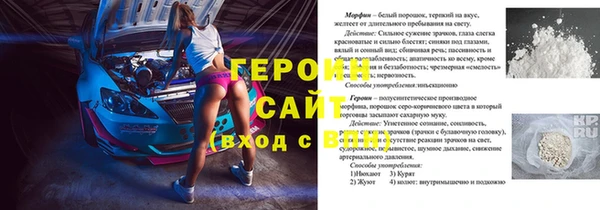 PSILOCYBIN Заводоуковск