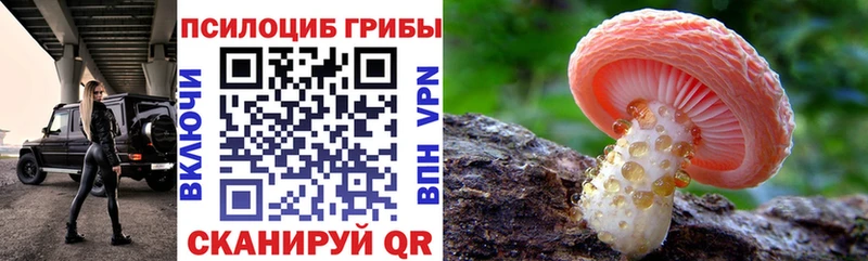 Галлюциногенные грибы MAGIC MUSHROOMS  где найти наркотики  Кизилюрт 