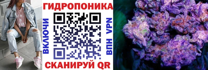 Шишки марихуана конопля  Кизилюрт 